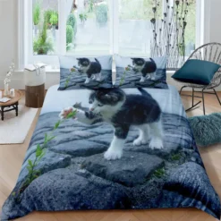 Parure De Lit Chat Qui Joue Dehors